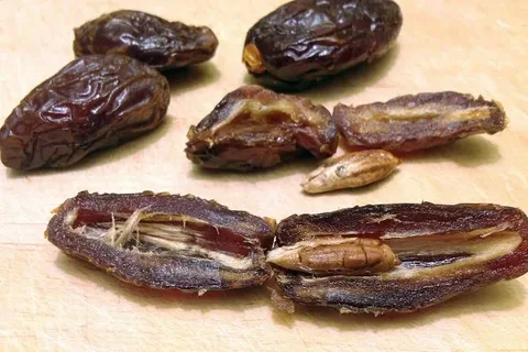 تصویر 3 از قیمت خرید خرما خاصویی اصفهان + فروش ویژه
